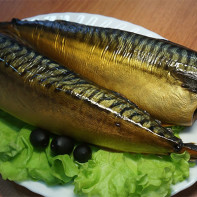 Mackerel Photo