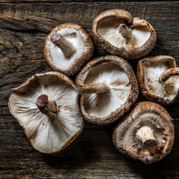 Fotoğraf Shiitake mantarları 5