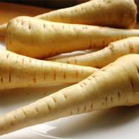 Parsnip root photo 3