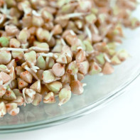 Photo buckwheat sprout 4