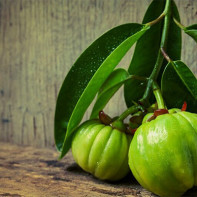 Garcinia fruitfoto 2