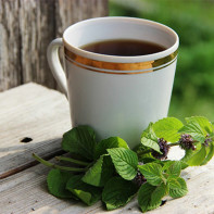 Foto de té de menta 4