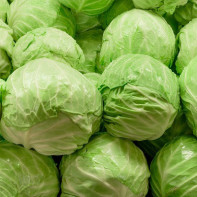 Photo of white cabbage