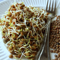 Bilde av Sprouted Lentils 2