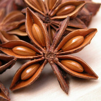 Photo star anise 3