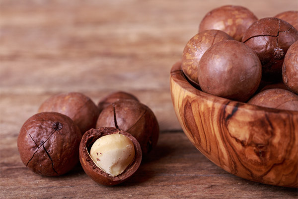 Ciò che è utile noce di macadamia