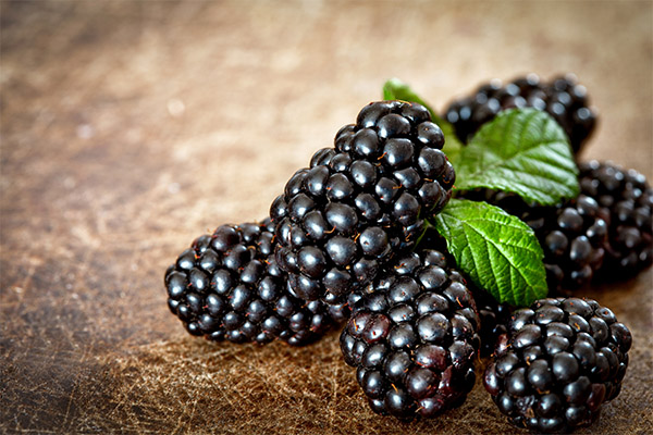 Érdekes Blackberry tények