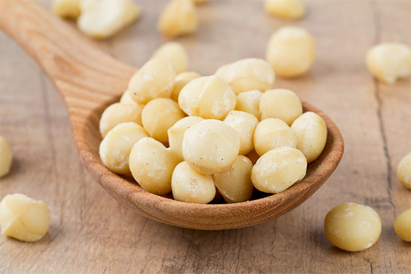 Interessante feiten over Macadamia Nut