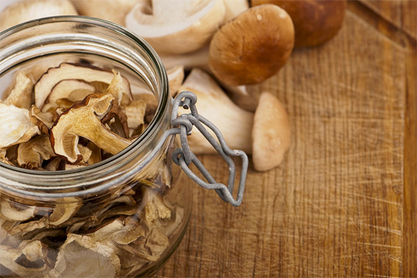 How to dry porcini mushrooms