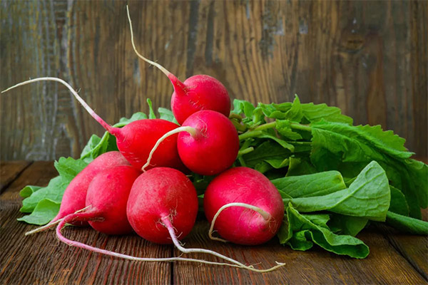 How to choose and store radish