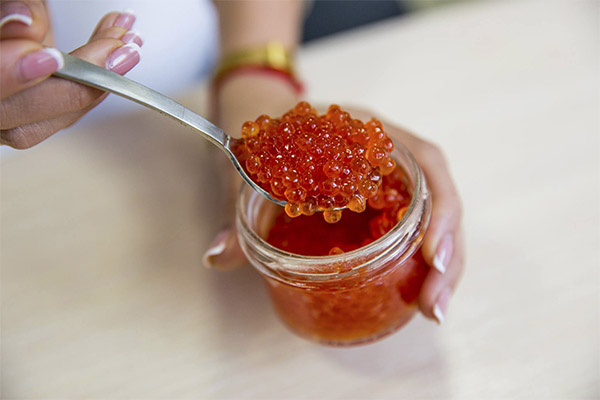 Cómo elegir caviar rojo de buena calidad