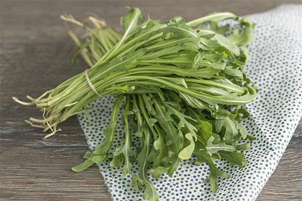 Hoe rucola te laten groeien