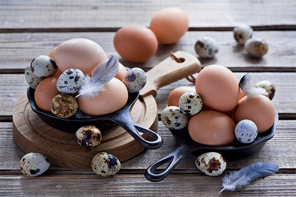 Oeufs de poulet ou de caille