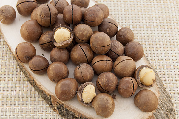 Propiedades medicinales de la nuez de macadamia