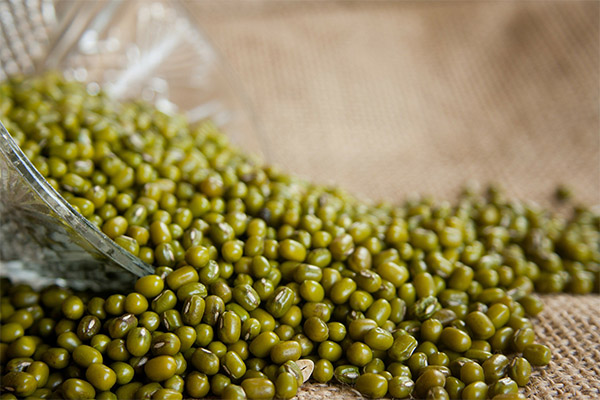 Useful properties of cereal mung bean slimming