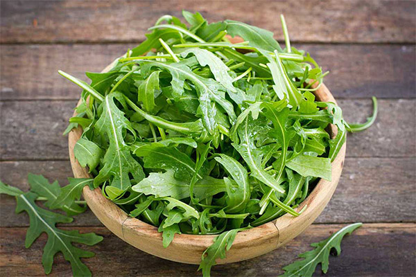 Fördelarna och skadorna av ruccola