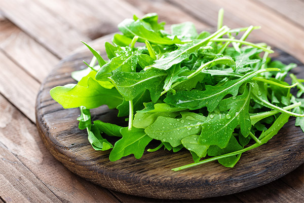 Arugula in cosmetology