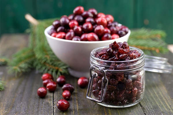 Getrocknete Preiselbeeren in der Medizin