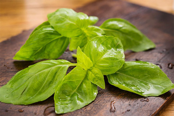 Basil en cosmétologie