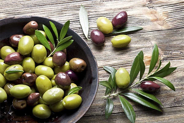 מה ההבדל בין זיתים לזיתים