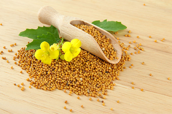 What are the benefits of mustard seeds