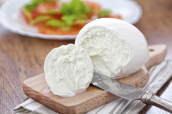 Apa yang boleh dibuat dari mozzarella