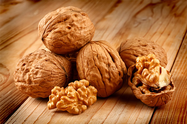 Walnut in medicine