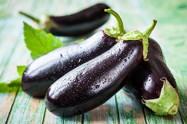 Interessante feiten over aubergines