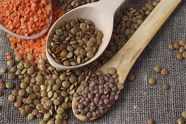 Interesting Facts About Lentils