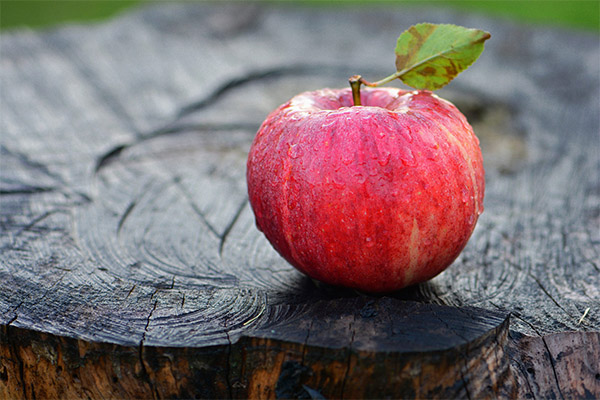 Faits intéressants sur les pommes