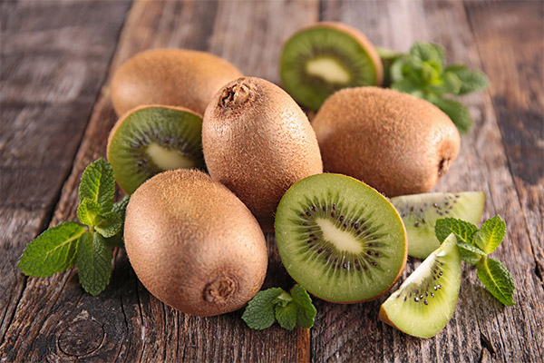 Fakta menarik mengenai kiwi