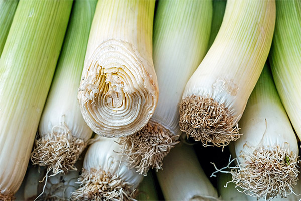 Sự kiện Leek thú vị