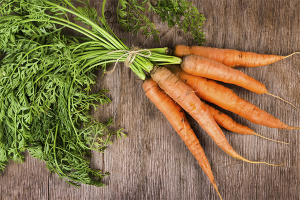 Faits intéressants sur les carottes