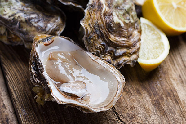 Interessante feiten over oesters