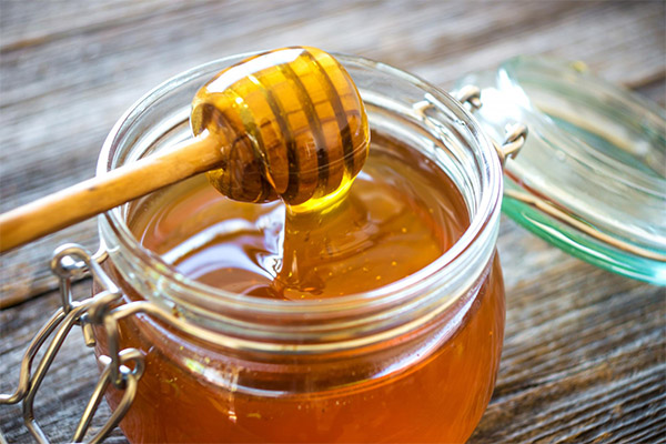 How and where to store honey