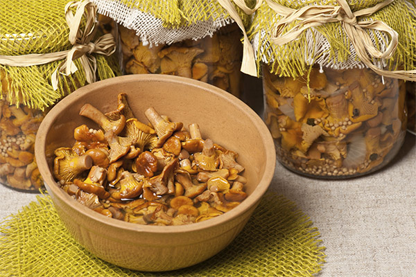 Como conservar chanterelles durante o inverno