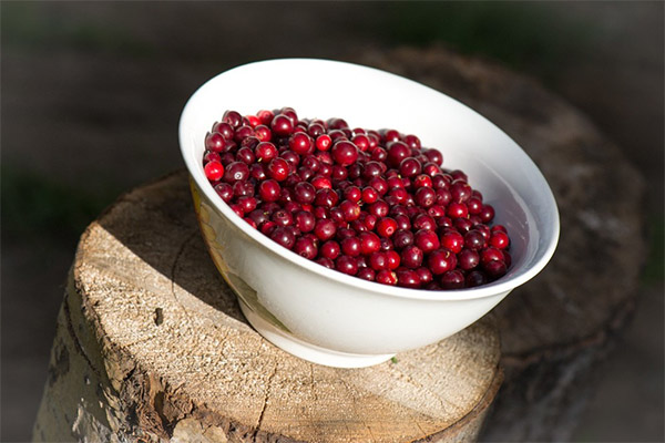 Cum se păstrează lingonberries