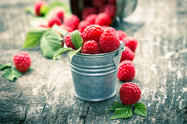 Wie man Himbeeren lagert