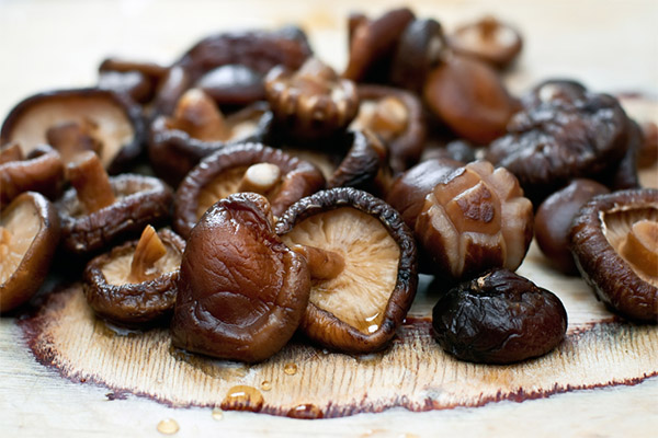 Shiitake Mantarları nasıl pişirilir