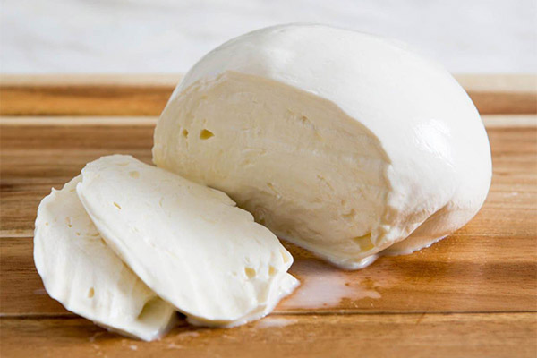 Hoe mozzarella te maken