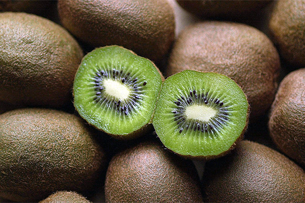 Como escolher e armazenar o kiwi