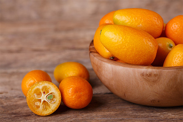 Cách chọn và lưu trữ kumquat