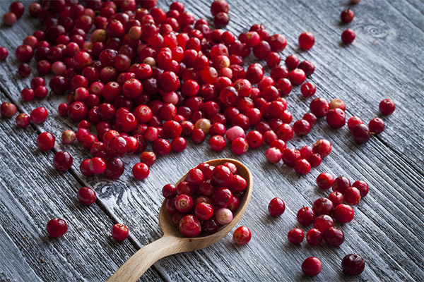 Come scegliere i mirtilli rossi per la marmellata