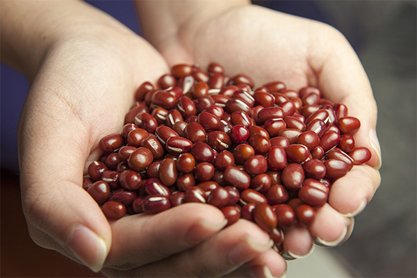 Red Bean Odchudzanie