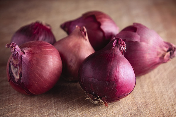 Cebolla roja en medicina