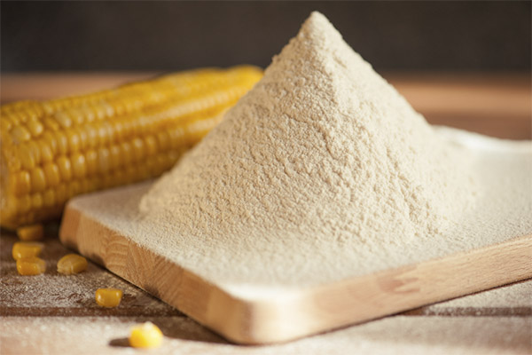 Cornmeal in medicine