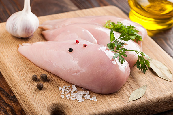 Petto di pollo in medicina