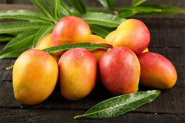 Mango medicīnā