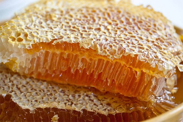 Honey in honeycombs in medicine