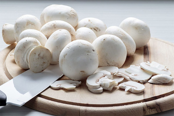 Can I eat champignons when losing weight